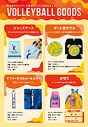 VOLLEYBALL GOODS