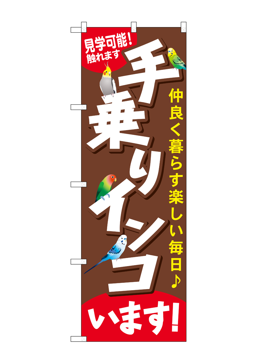 G〕 手乗りインコいます のぼり GNB-616【受注生産☆2】【繁盛支援